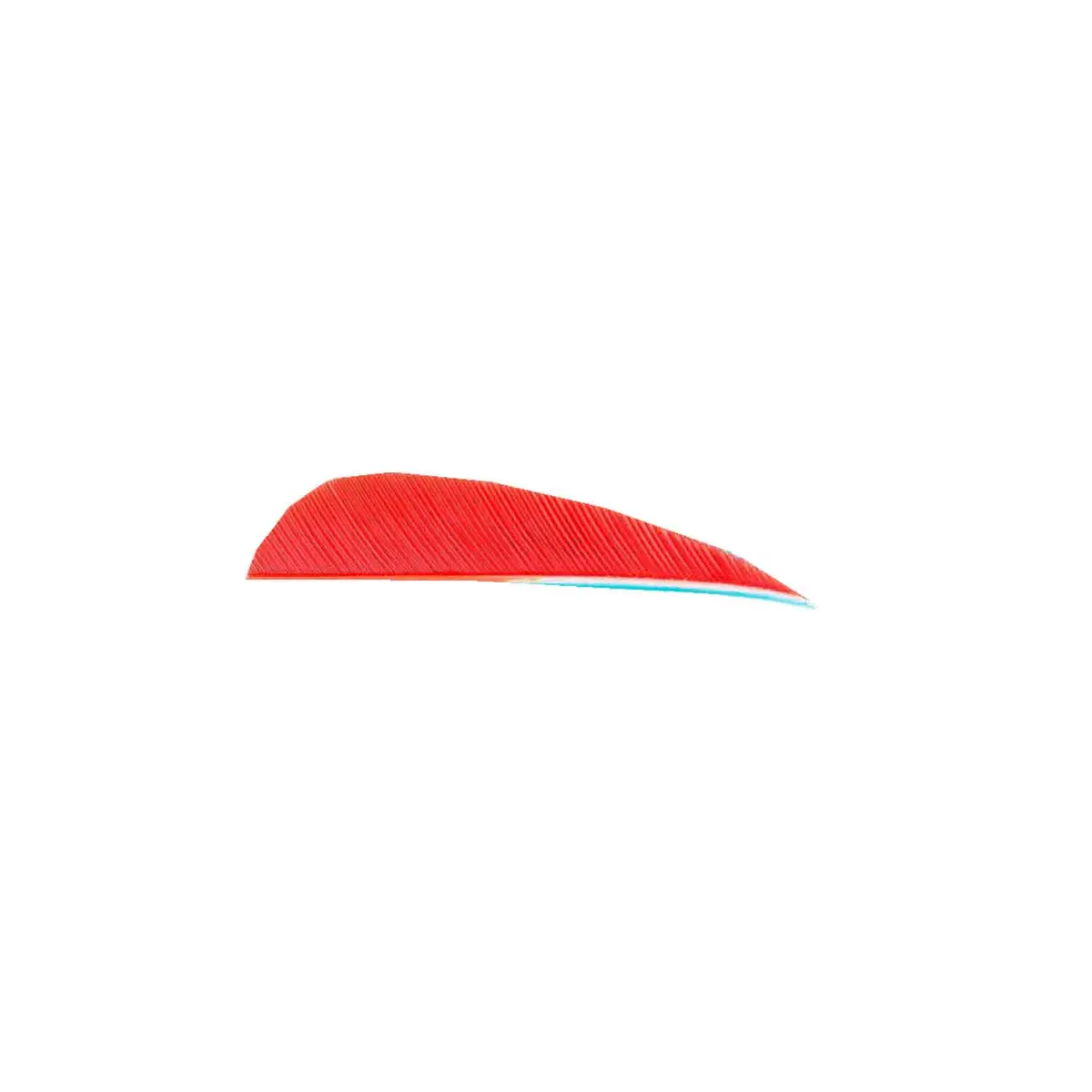 Trueflight 2.5" Rw Round Back Feather 6