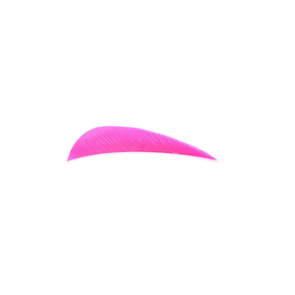 Trueflight 3" Rw Round Back Feather 12