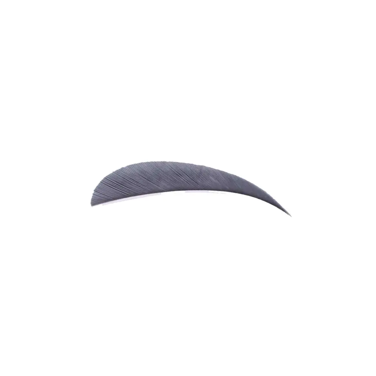 Trueflight 3" Rw Round Back Feather 12