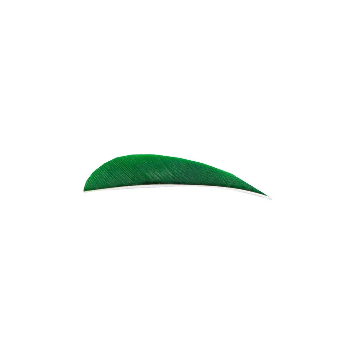 Trueflight 3" Rw Round Back Feather 7