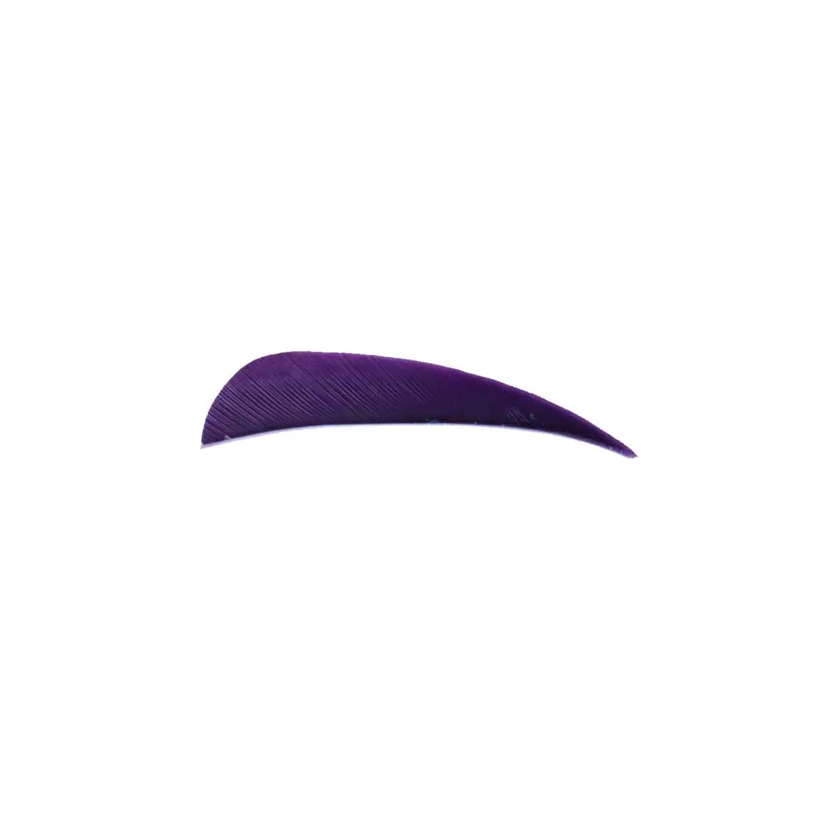 Trueflight 3" Rw Round Back Feather 13