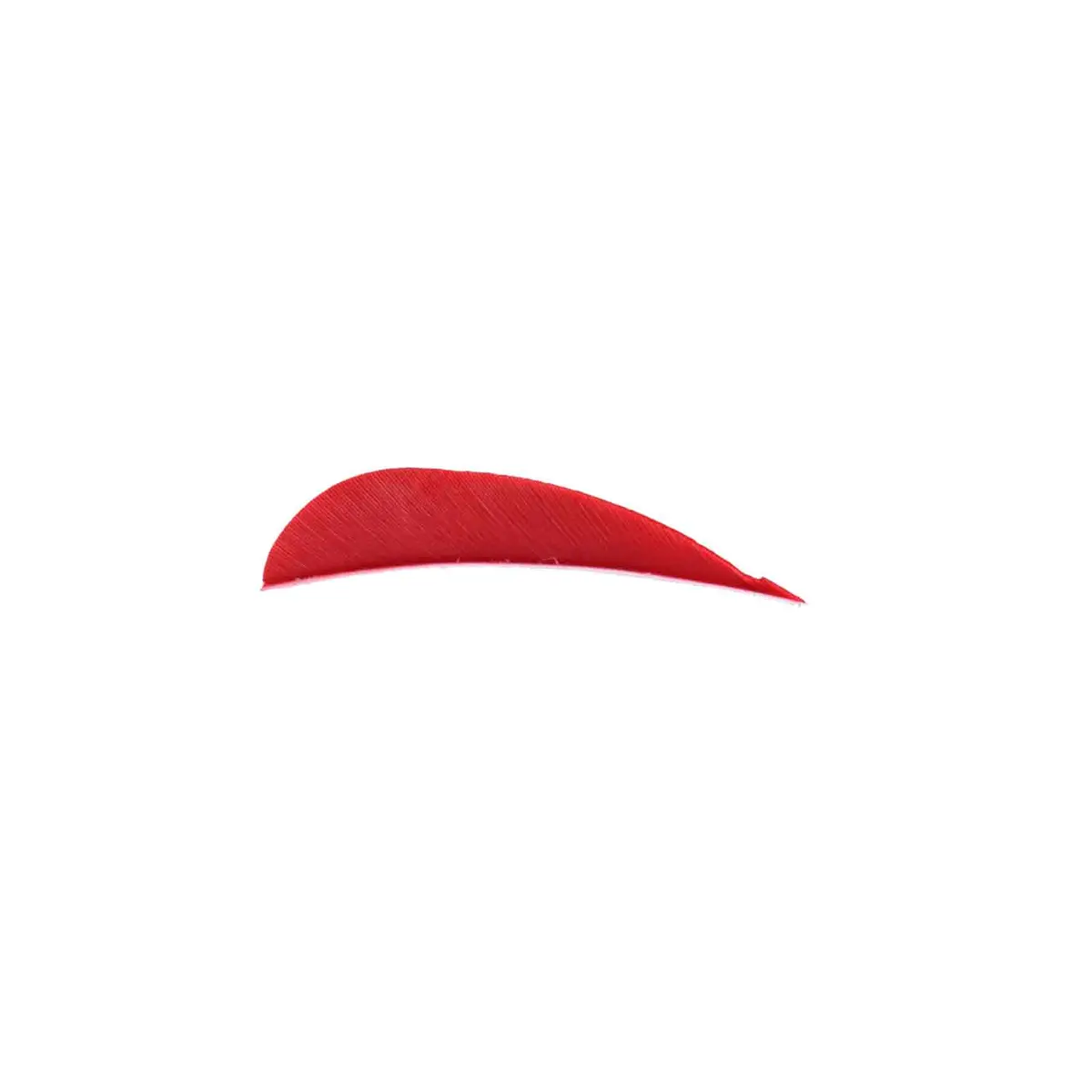 Trueflight 3" Rw Round Back Feather 4