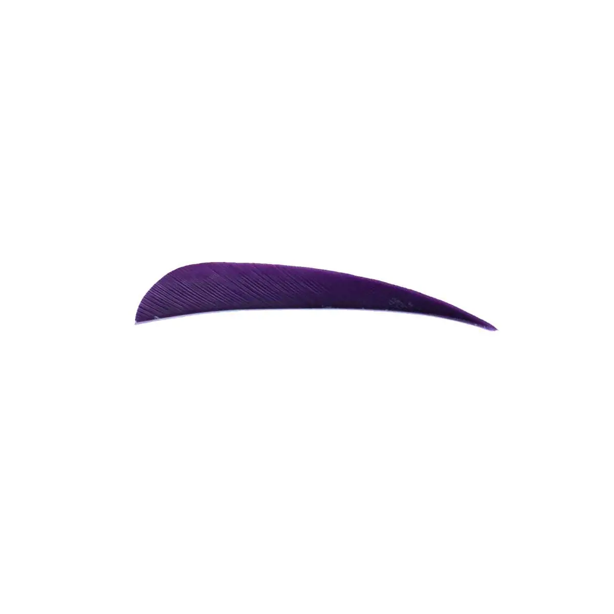 Trueflight 4" Rw Round Back Feather 13