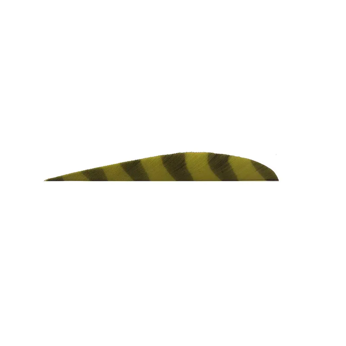 Trueflight Barred 4" Rw Round Back Feather 10