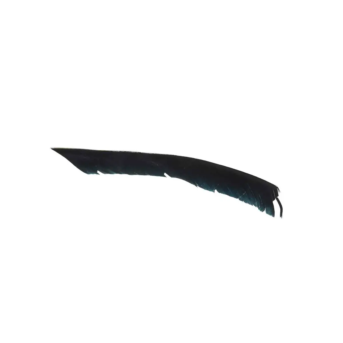 Trueflight Spiral Wrap Flu Flu Feather 8