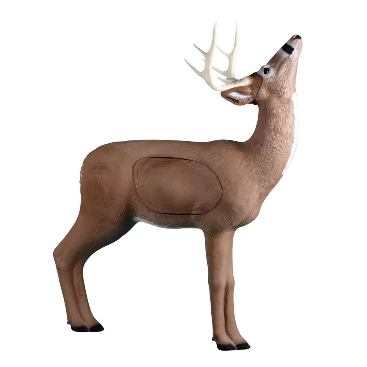 Rinehart Browsing Buck Target 1