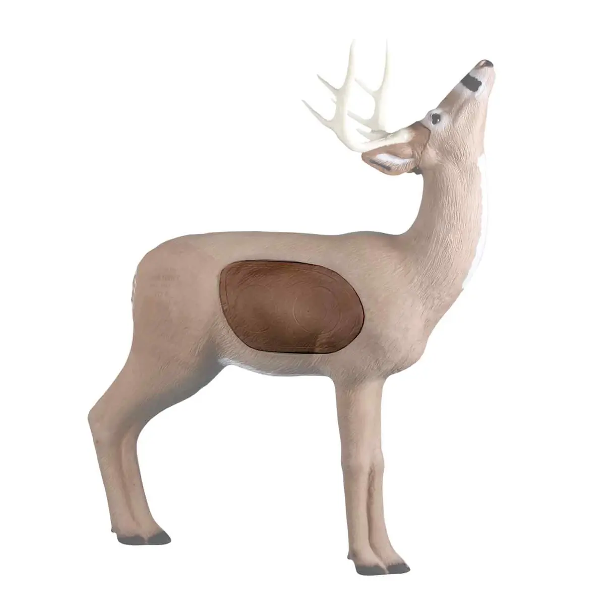 Rinehart Browsing Buck Insert 1
