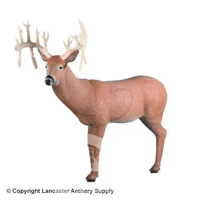 Rinehart 30 Pt. Buck Target 1