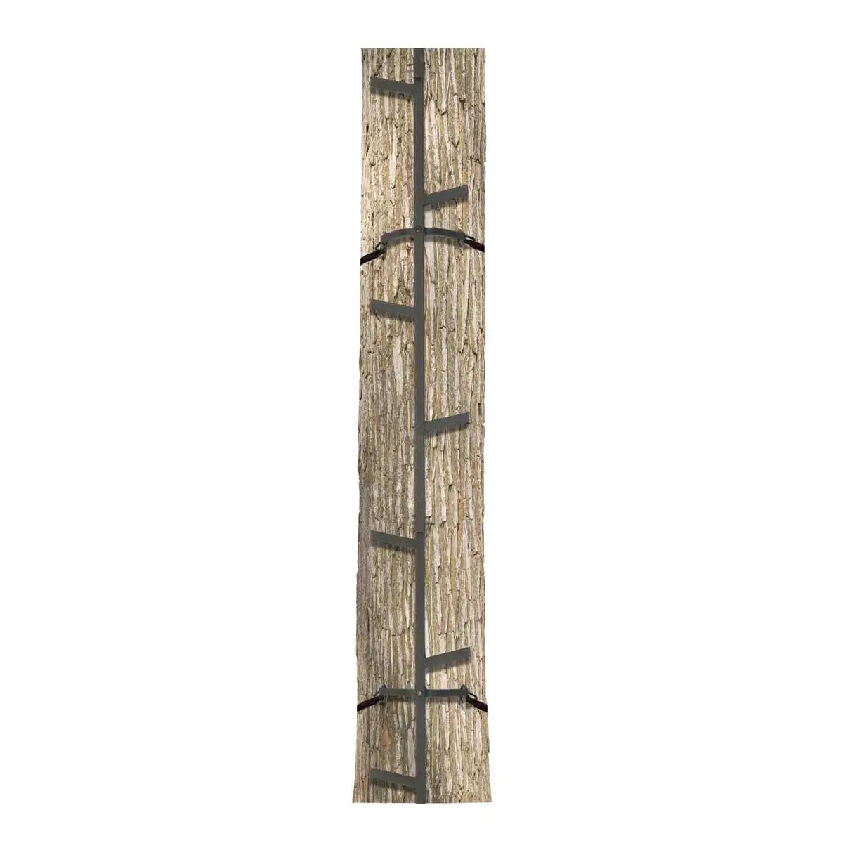 Big Game Quick-Stick Climbing System 1