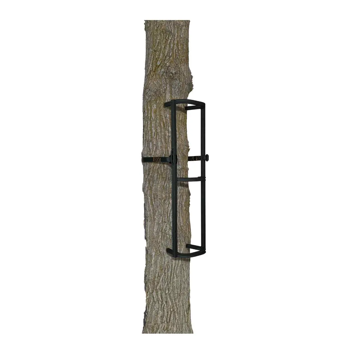Muddy Stagger-Steps Climbing System (3 Sections) 1