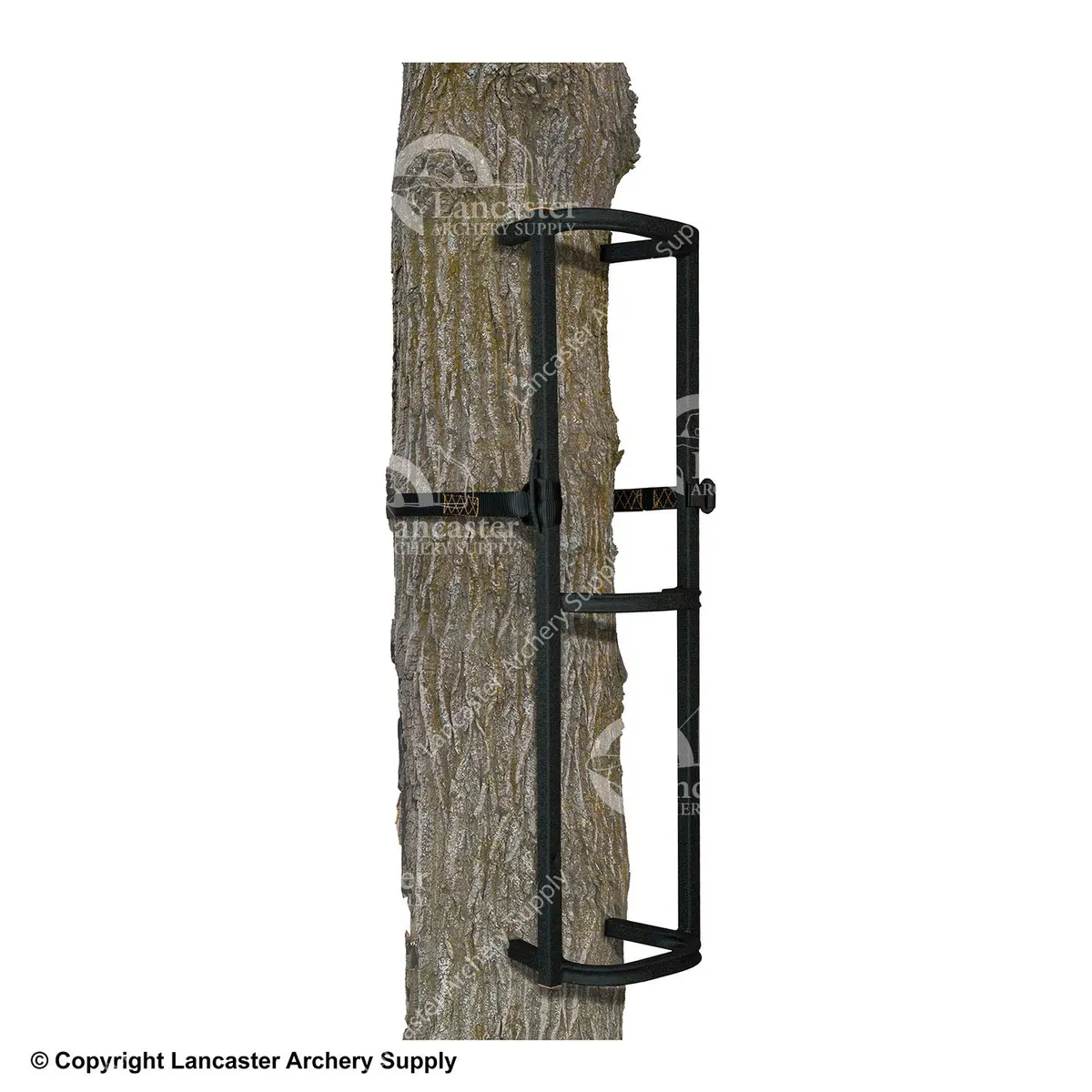 Muddy Stagger-Step Climbing System (1 Section) 1