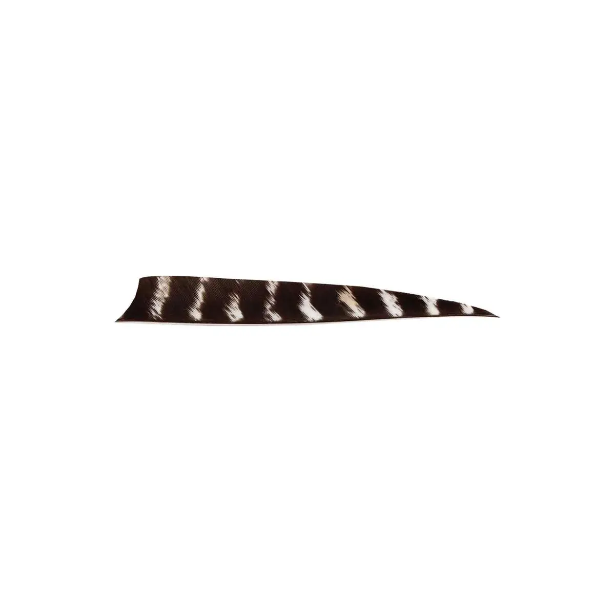 Bearpaw 4" Shield Cut Natural Barred Feather 1