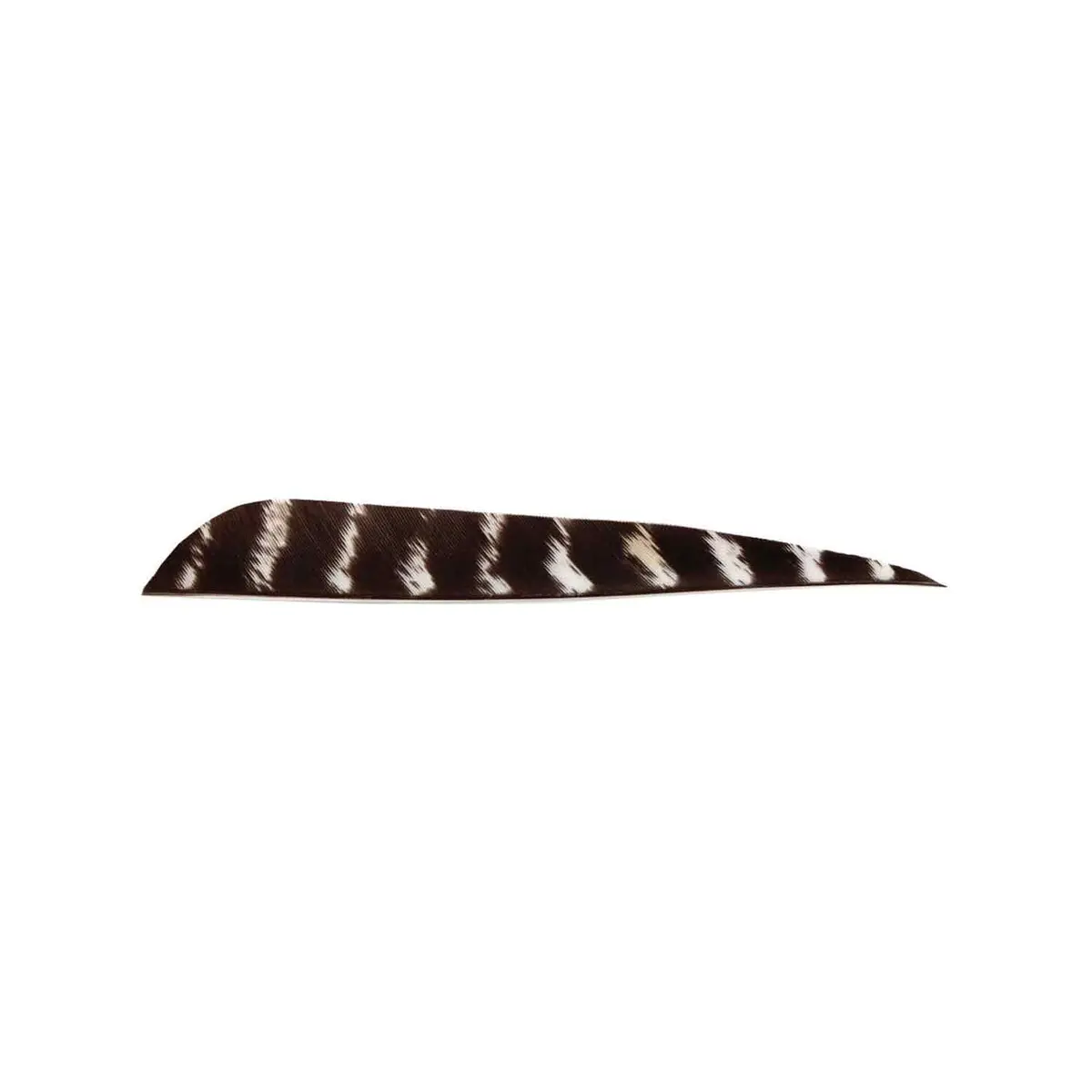 Bearpaw 5" Parabolic Natural Barred Feather 1