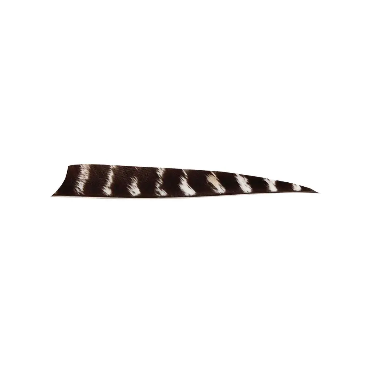 Bearpaw 5" Shield Cut Natural Barred Feather 1