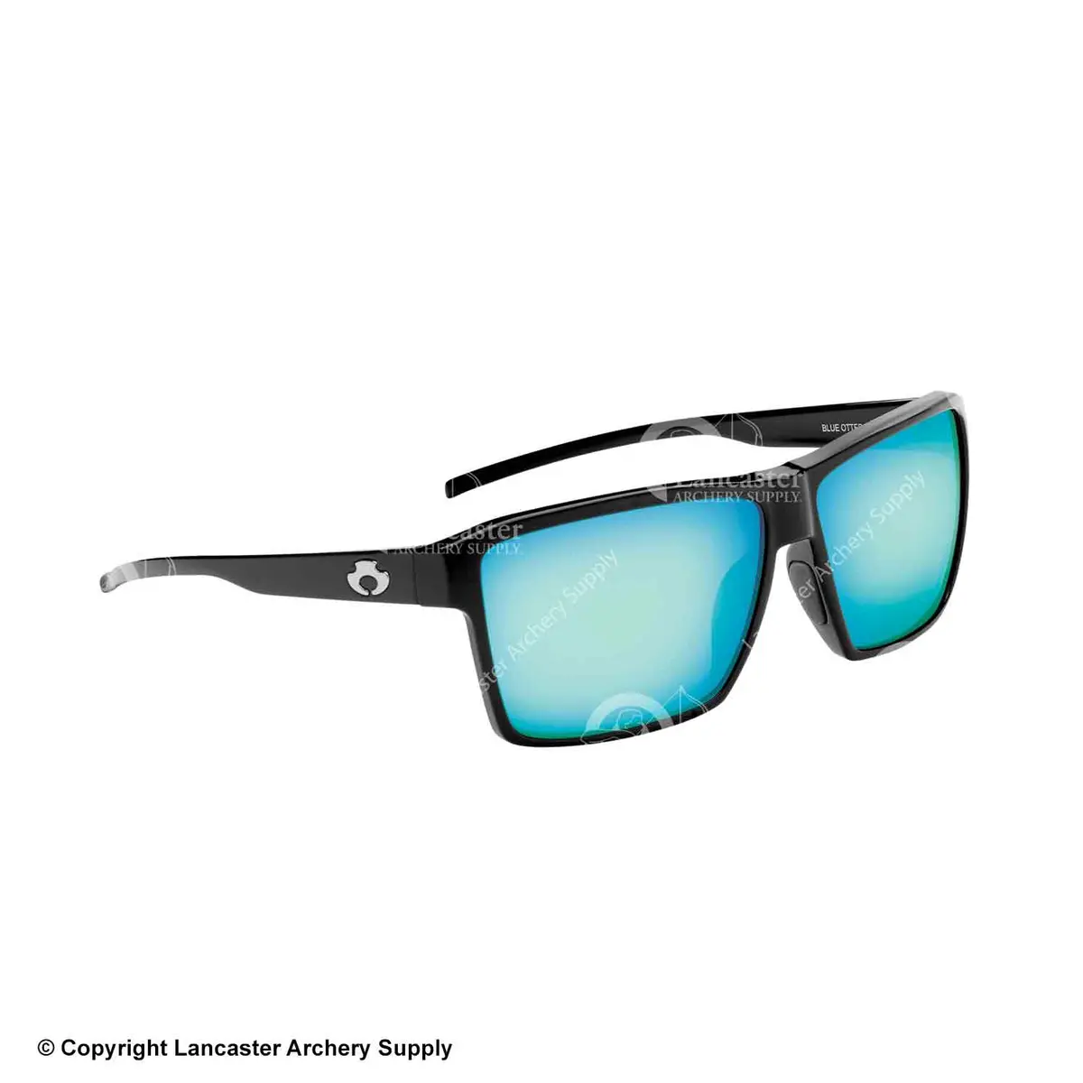 Blue Otter Watauga Sunglasses 1