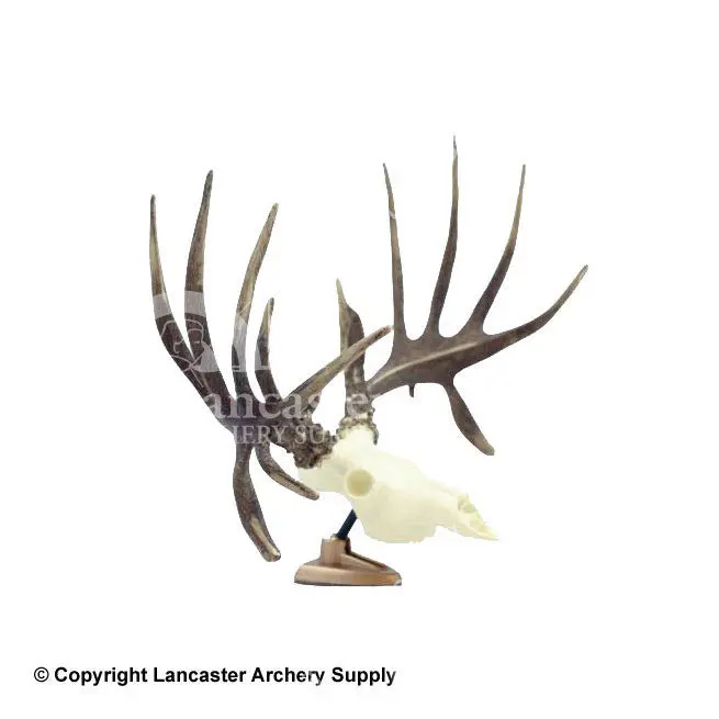 Spg Big Rack Raxx Figurine 1