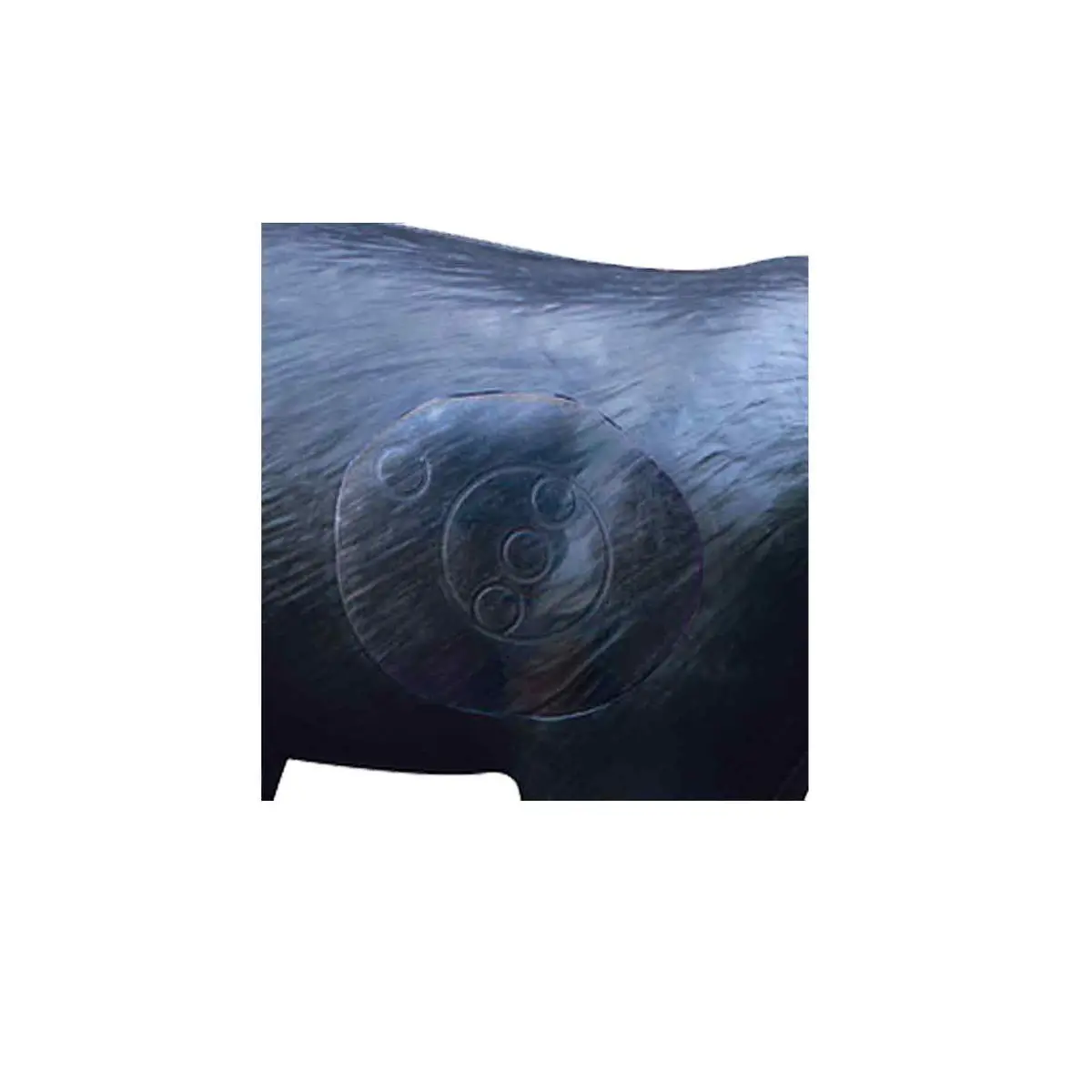 Realwild Large Walking Black Bear 3D Target 2