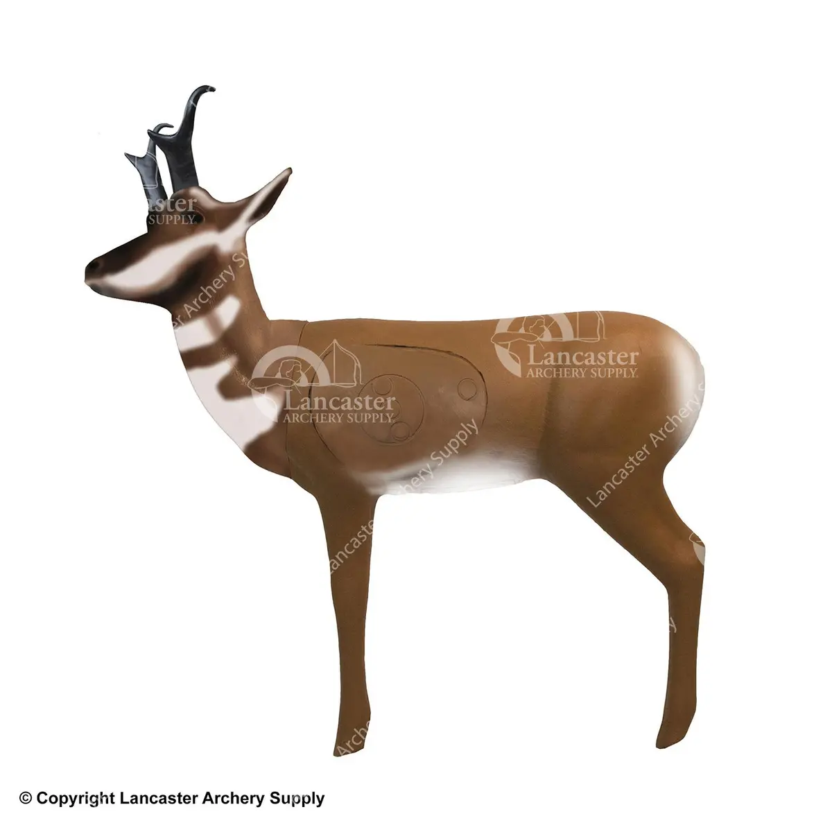 Realwild Pronghorn Antelope 3D Target 1