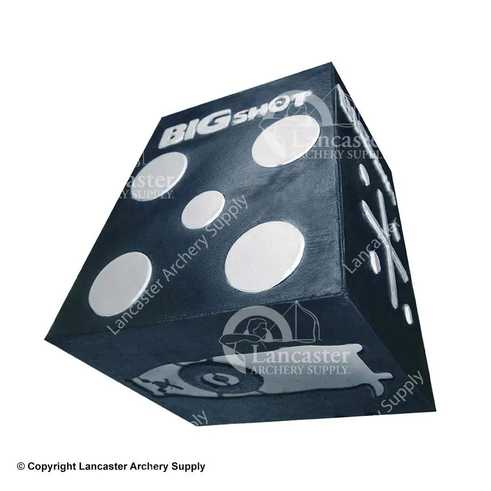 Bigshot Titan 18 Broadhead Target 1