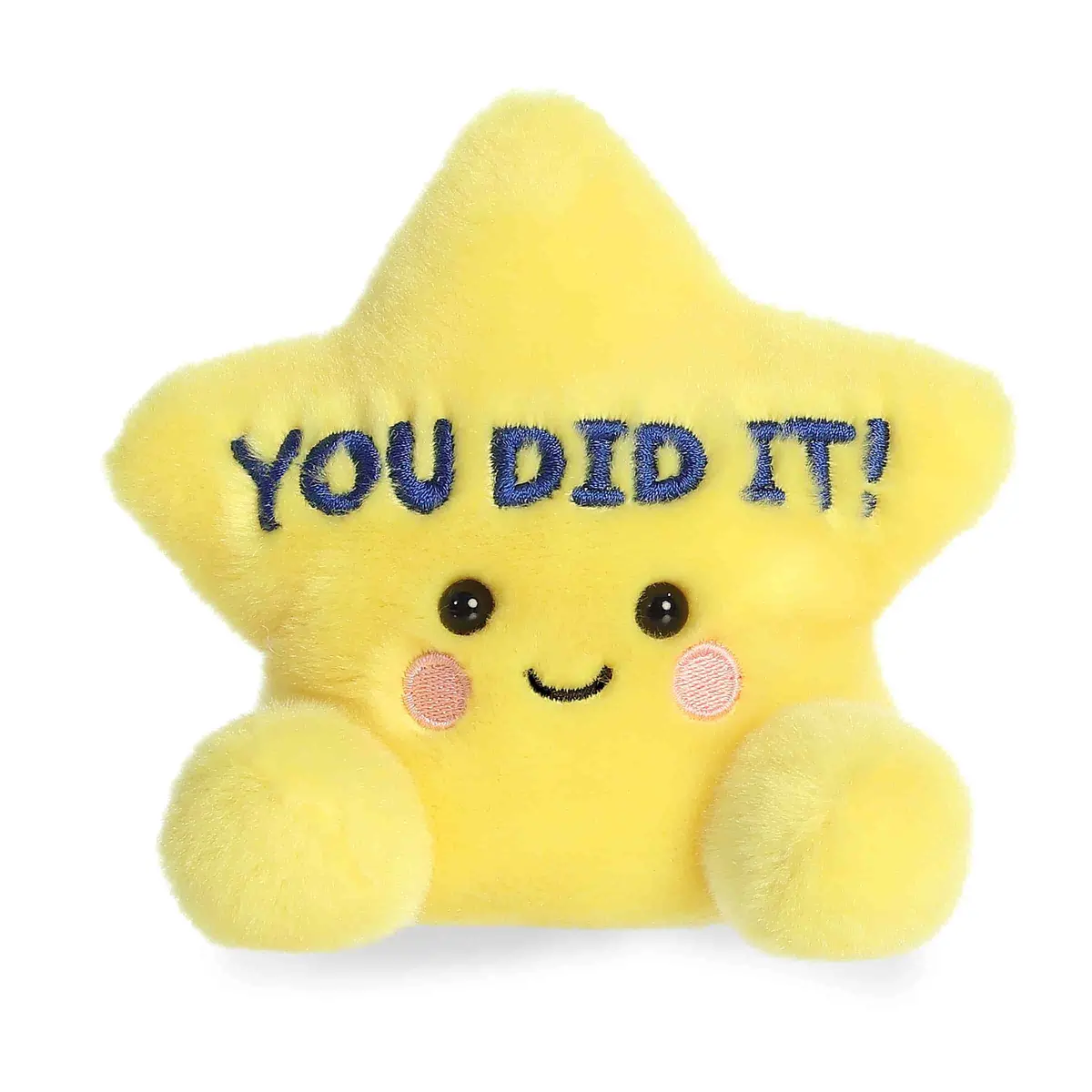 You Did It Star 1
