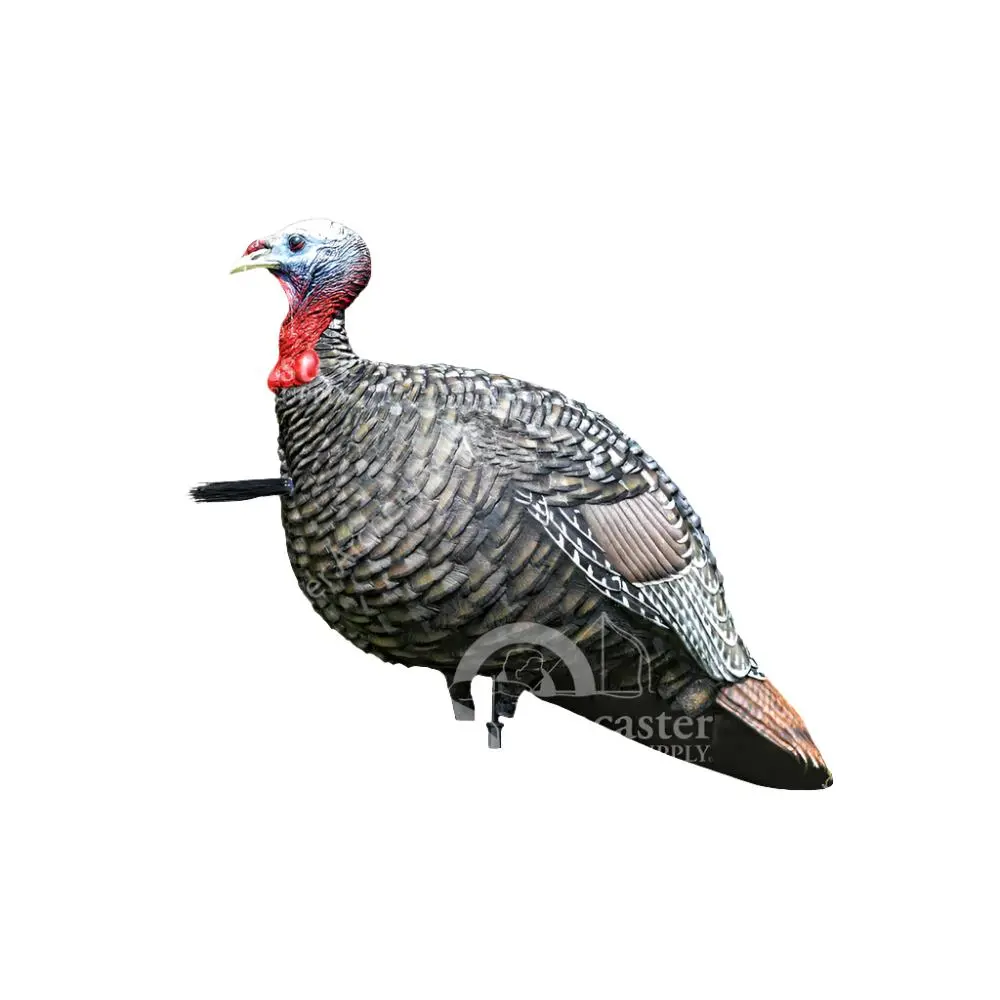 Avian-X Lcd Jake Quarter Strut Turkey Decoy 1