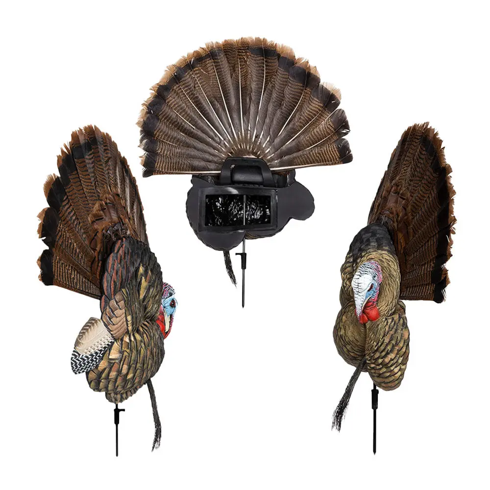 Avian-X Trophy Tom Turkey Decoy 2