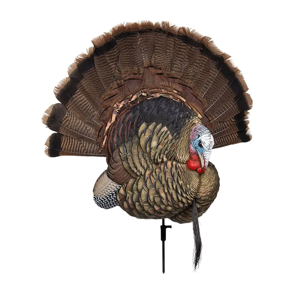 Avian-X Trophy Tom Turkey Decoy 1