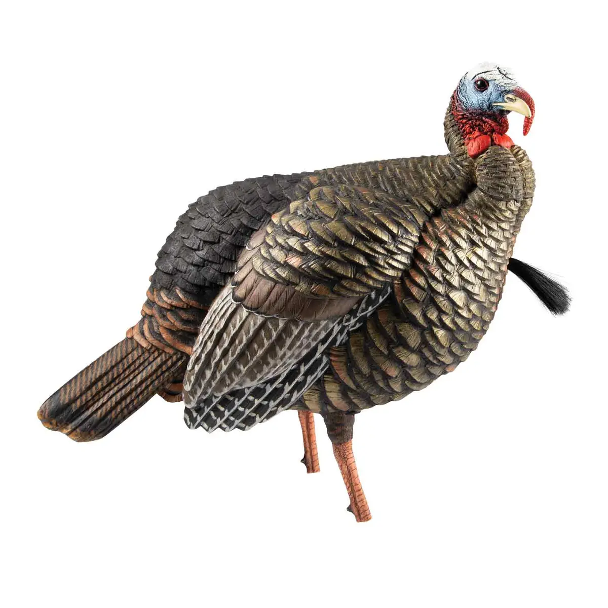 Avian-X Hdr Molded Jake Turkey Decoy 1