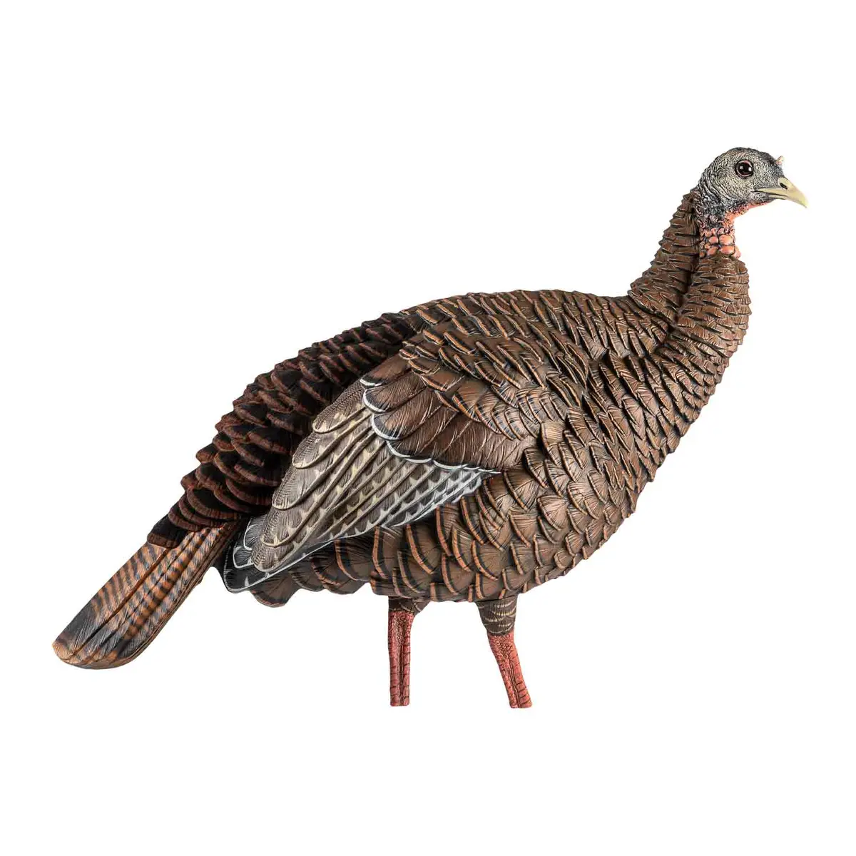 Avain-X Hdr Hen Decoy 1