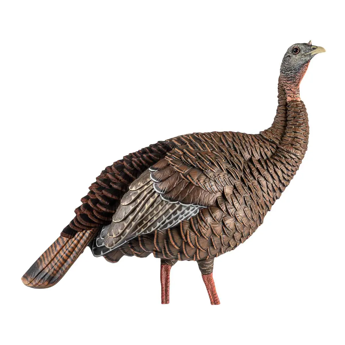 Avain-X Hdr Hen Decoy 2