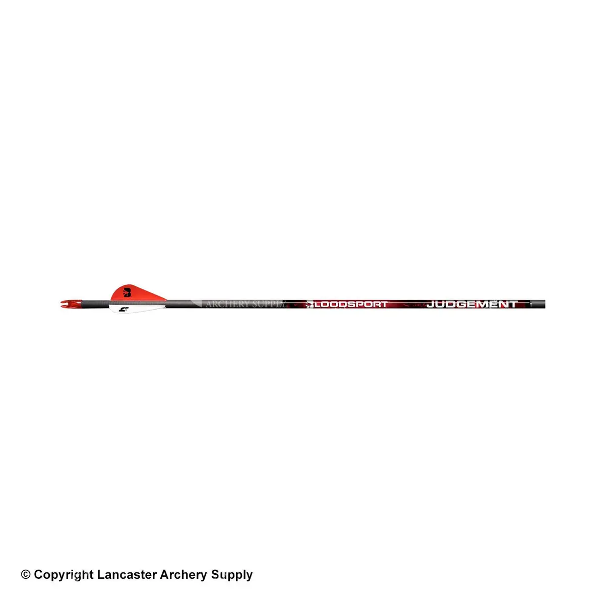Bloodsport Judgement Fletched Arrows 1