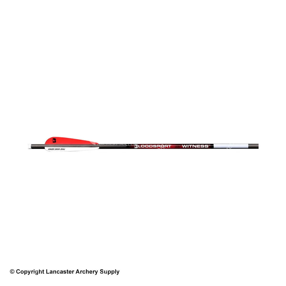 Bloodsport Witness Crossbow Arrows 1
