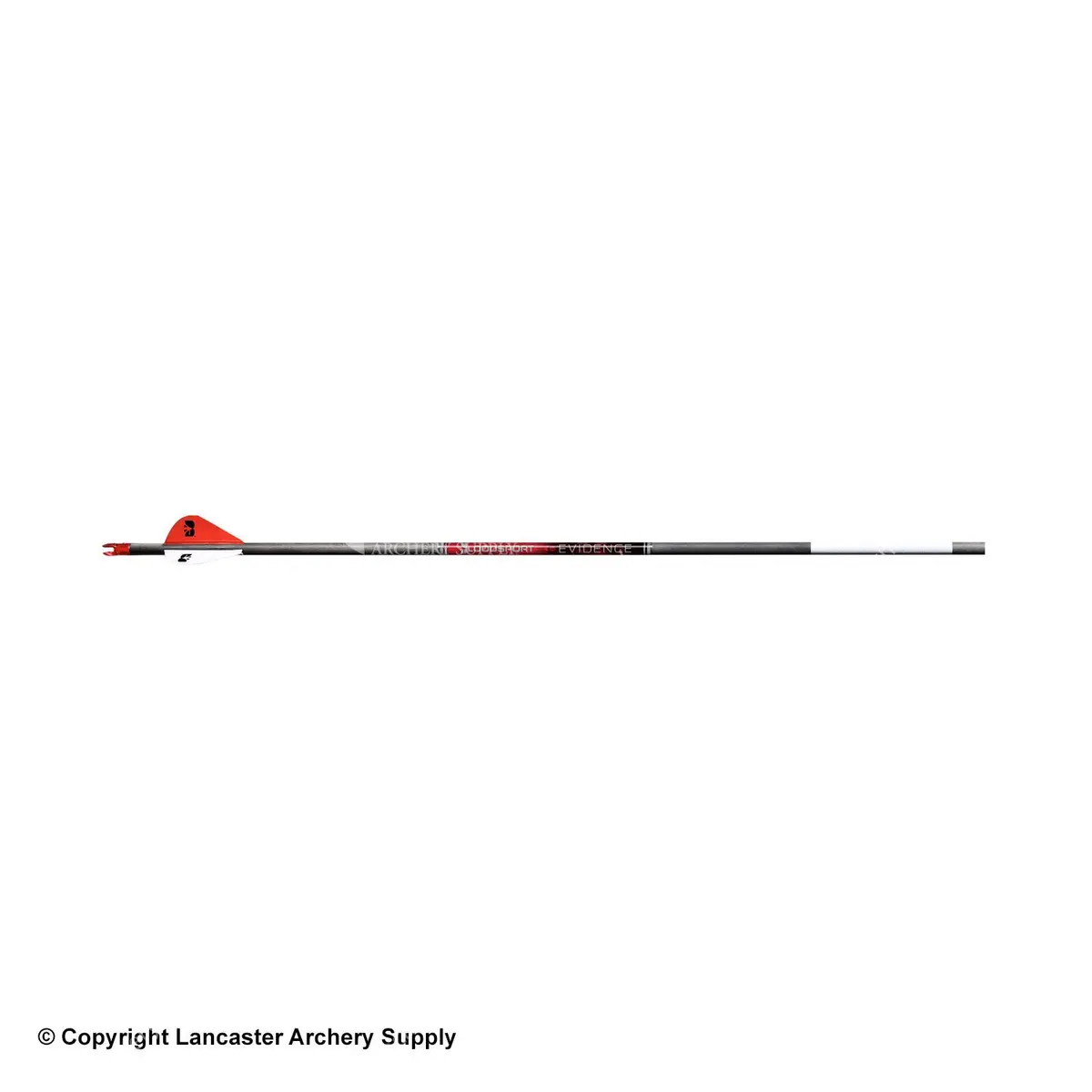 Bloodsport Evidence Fletched Arrows 1