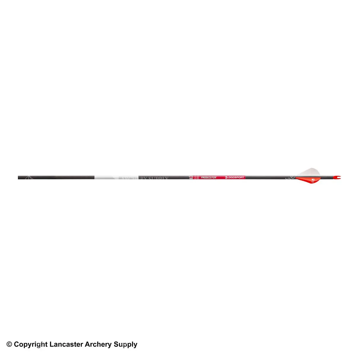 Bloodsport Prosecutor Fletched Arrows 1