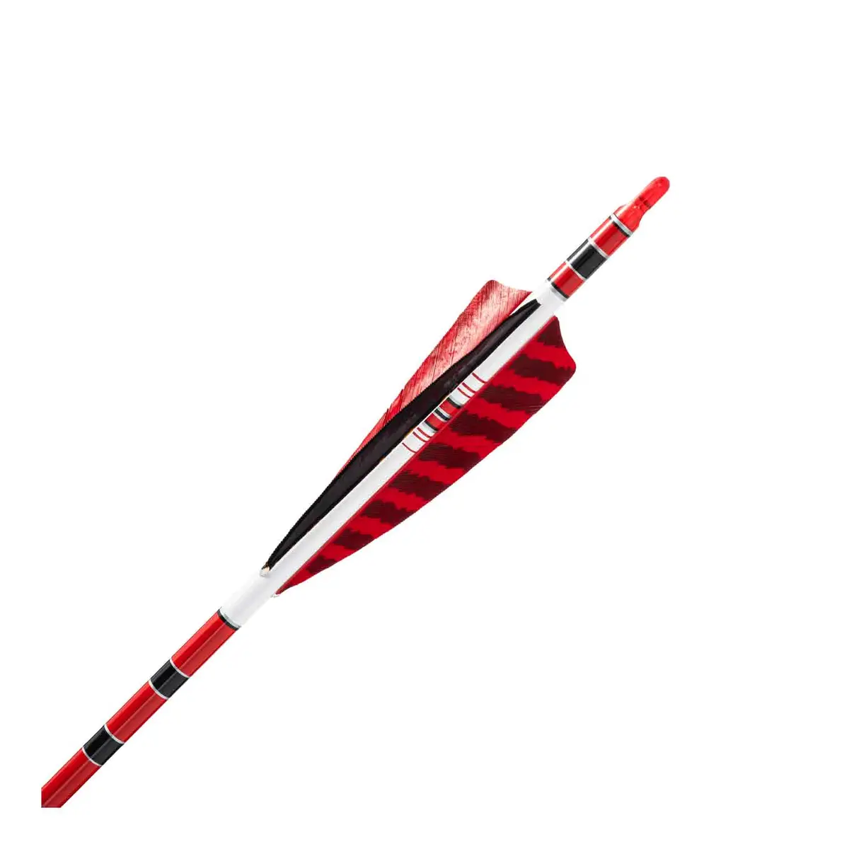 Black Eagle Vintage Traditional Crested Fletched Arrows 6
