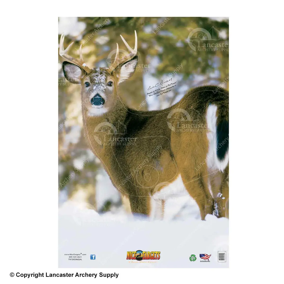 Nicetargets Deer Targets 6
