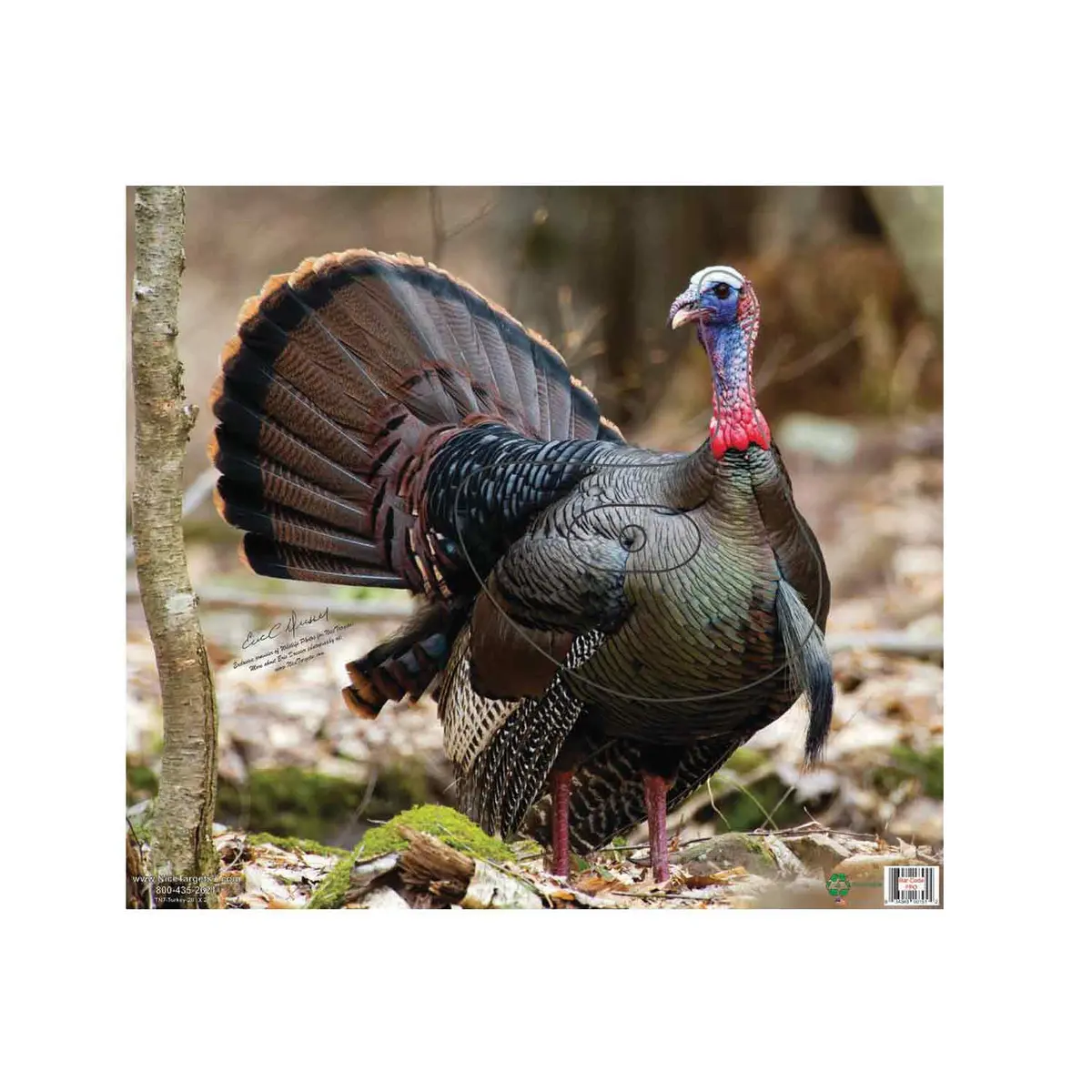 Nicetargets Turkey Target 1