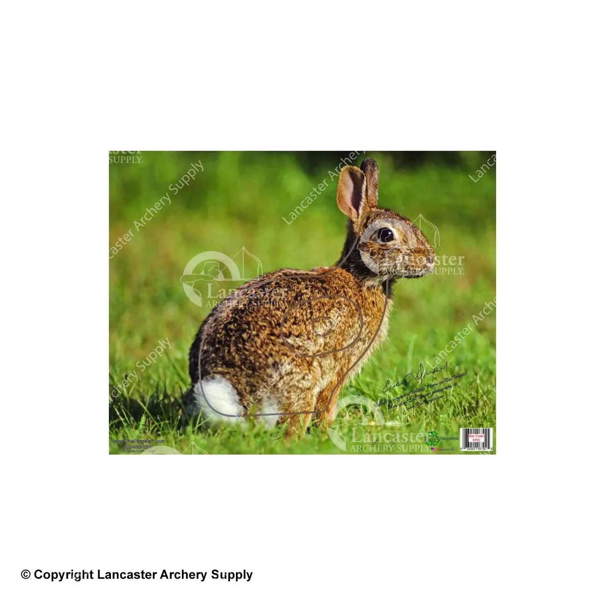 Nicetargets Rabbit Target 1