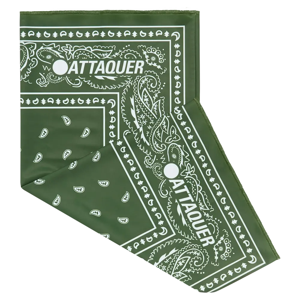 Attaquer | Neck Warmer | Olive Paisley 1