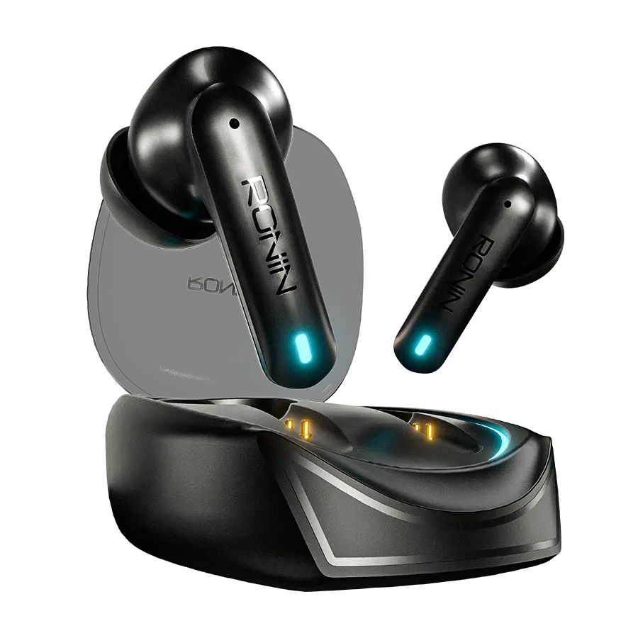 Dynasty | R-520 Earbuds 1