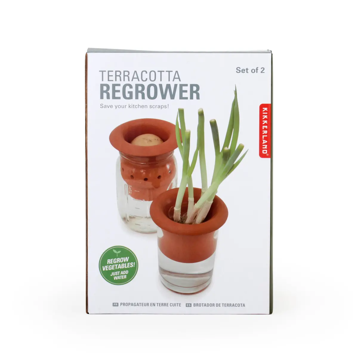 Terracotta Regrower 1