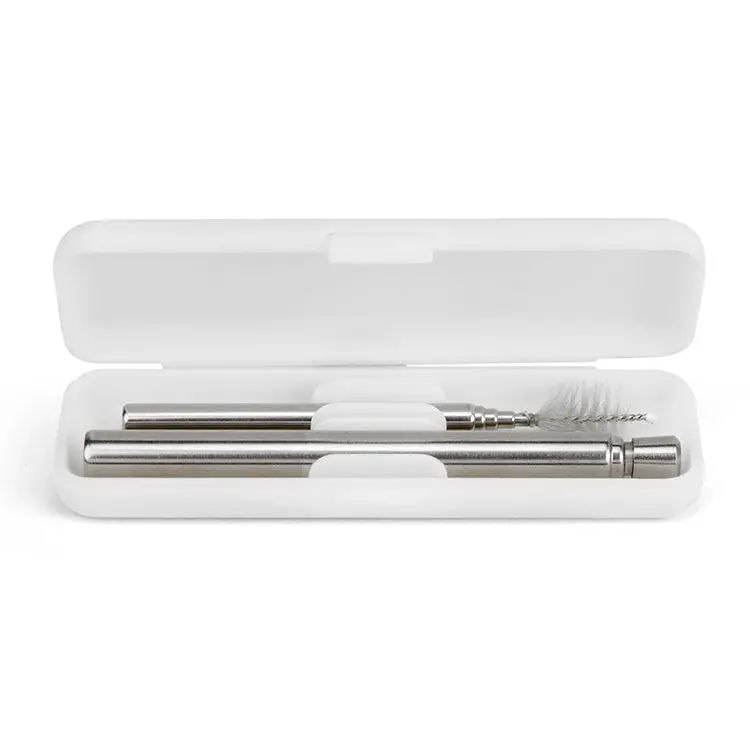Travel Straw Set 1