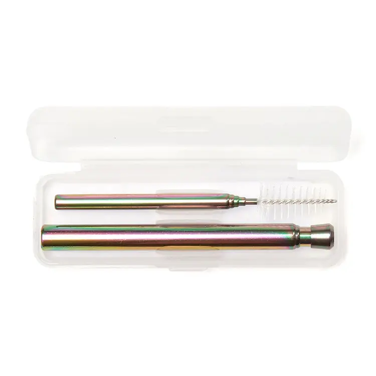 Irredescent Travel Straw Set 1