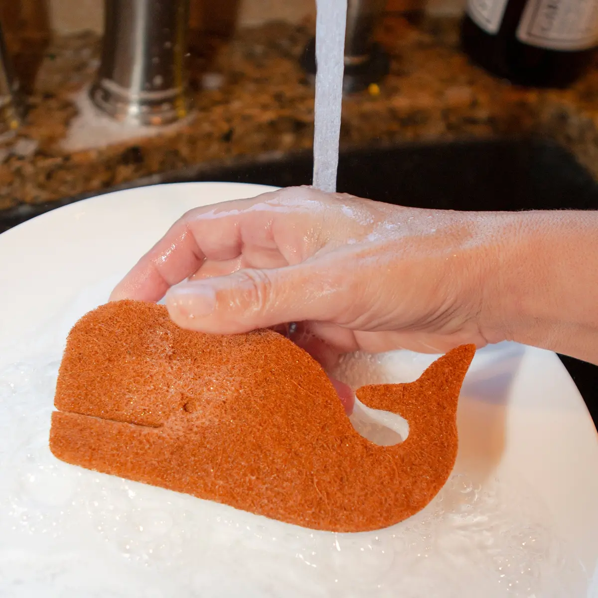 Whale Scrub Sponges 1