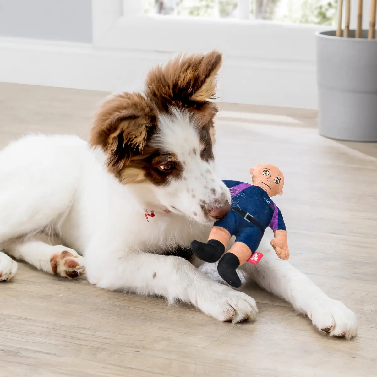 Kobe Fidos Squeeky Plush Toy 1