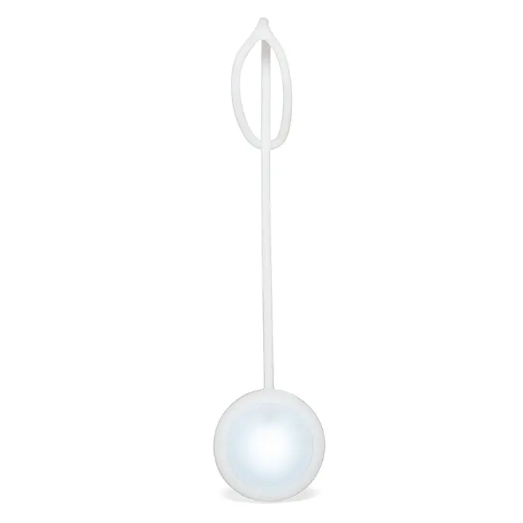 Rechargeable Purse Light 1