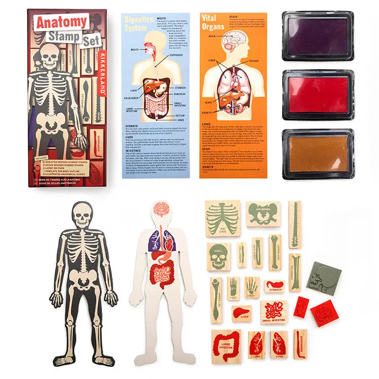 Anatomy Stamp Set 1