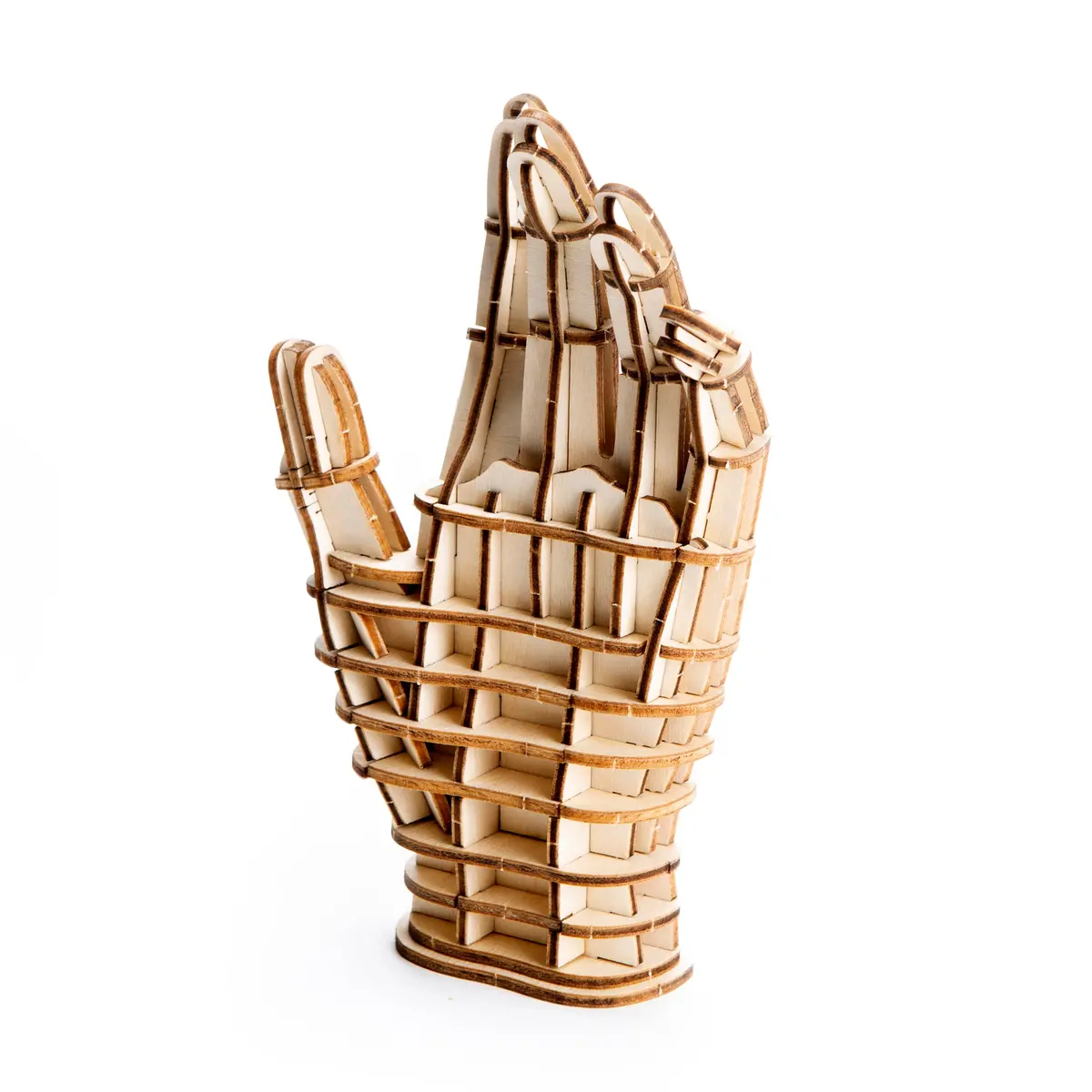 Hand 3D Wooden Puzzle 1