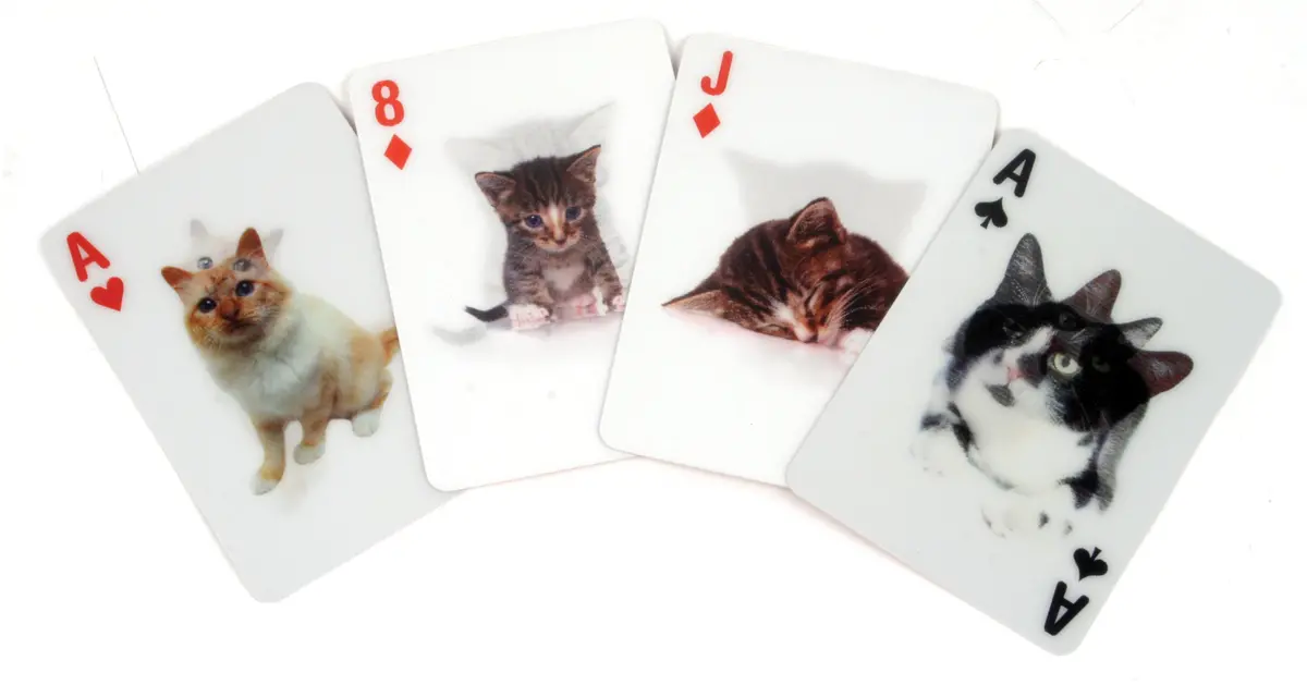 Cat 3D Playing Cards 1