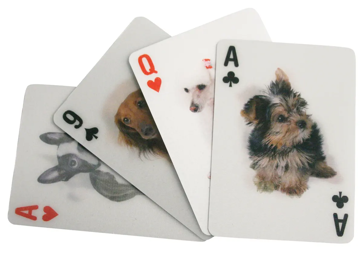 Dog 3D Playing Cards 1